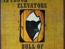 THIRTEENTH FLOOR ELEVATORS: bull of the woods International Artists 12