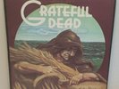 Grateful Dead Wake of the Flood 1973  Vinyl LP Record Excellent+