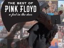 The Best Of Pink Floyd: A Foot In The Door by Pink Floyd (2LP, 180 Gram Vinyl)