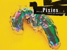 Pixies ?- Best Of 2 x LP Vinyl Album - Debaser - Here Comes Your Man HITS RECORD