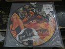 NURSE WITH WOUND Sylvie & Babs High-Thigh Companion LP Pic Disc VINYL Record NEW