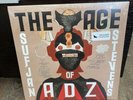 Sufjan Stevens - Age of Adz New LP Vinyl Sealed