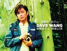 DAVE WANG -  王傑 誰明浪子心精選15首 (2 X VINYL) MADE IN JAPAN