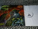 ACID WITCH LP STONED TEST PRESSING NUMBERED 3 /5 RARE METAL THRASH HALLOWEEN