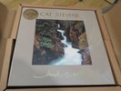 Yusuf/Cat Stevens / Back To Earth Multi-Format Box Sets