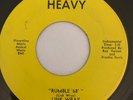 Surf Rocker 45/ Link Wray 