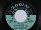 Northern Soul 45 RUBY ANDREWS Just Loving You ZODIAC HEAR