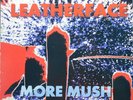 LEATHERFACE - MORE MUSH LP PUNK HC HUSKER DU MEGA CITY FOUR NED'S ATOMIC DUSTBIN