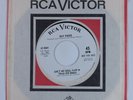 Northern Soul 45 RAY PAIGE Ain't No Soul RCA VICTOR NM promo HEAR