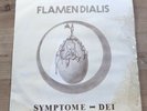 Flamien Dialis - Symptome Dei 1979 French Progressive Electronic LP FLVM 3006