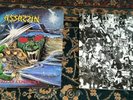ASSASIN INTERSTELLAR EXPERIENCE ORIGINAL 1988 USA LP RARE