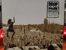 Pearl Jam - Drop In The Park (Ten Deluxe Box Set) LP 737587-3 + Poster & Lithos