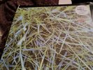 Orbital ?– Lush 3 12