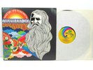 Vinyl - Strawberry Alarm Clock 'Wake Up It's Tomorrow' 1968 UNI 73025 VG/VG
