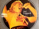 Def Leppard Rock Sagas Chris Tetley Interviews picture discs-1989Limited Edition