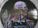 Tool  ?– Lateralus  Promo Picture Disc, Limited Edition Vinyl LP (LATER1-1) RARE