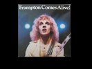 Peter Frampton ‎– Frampton Comes Alive Lp Vinile It 79