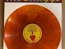 LP:  THE SHAGGS - Shaggs' Own Thing NEW SEALED REISSUE YELLOW MAROON SWIRL VINYL