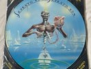 Iron Maiden 7th Son Of A 7th Son Picture Disc LP