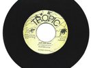 FLOYD LLOYD - JAH JAH WHY - SOULFUL LOVER BABY - 7''