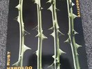 Type O Negative October Rust Vinyl