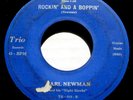 CARL NEWMAN & NIGHT HAWKS Rockin' And A Boppin' 45 Rare Trio Rockabilly/Teen