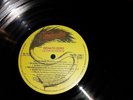 RENATO ZERO LEONI SI NASCE MEGA RARO LP PROMOZIONALE ZEROLANDIA 1984 OTTIMO EX
