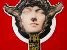 Siouxsie and the Banshees  Picture Disc shaped Record  - Hong Kong Gardens