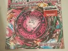 JOEY RAMONE CHRISTMAS SPIRIT IN MY HOUSE 10
