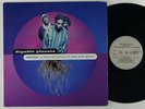 Digable Planets 