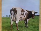 PINK FLOYD ATOM HEART MOTHER UK 1970 1ST PRESS SHVL781 A-1G/B-1G DRIP LOOP VG+