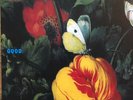 Morphine - Good - ROG Run Out Groove - New Sealed Vinyl #1828