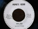 Fire Fire - Wayne Wade