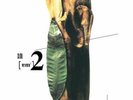 DANNY SUMMER - 夏韶聲 諳2  (2 X GREEN VINYL) MADE IN GERMANY