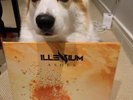 ILLENIUM – Ashes (2 x Vinyl, LP, 45 RPM, Album, Limited Edition, 180g)