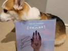 Signed/Autographed Porter Robinson – Worlds (2 x Vinyl, LP, LE, Transluscent)