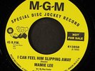 MAMIE LEE / CHARADES: i can feel him slipping away / the key to my happiness MGM