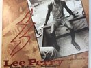 LEE PERRY 2 LP 2001 UK 1st Press ‘ DIVINE MADNESS…DEFINITELY EX/EX REGGAE VINYL