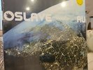 Revelations * Audioslave Epic import vinyl record limited color