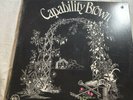 CAPABILITY BROWN, FROM SCRATCH -LP CAS 1056 PROG PSYCH