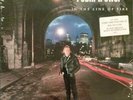 Robin Trower - In The Line Of Fire - Vinyl Record.. - d5826d
