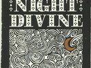 FALLON, Brian - Night Divine - Vinyl (grey marbled vinyl LP + insert)