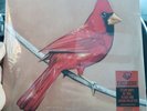 Alexisonfire - Old Crows / Young Cardinals on Clear w/ red black and cream splat
