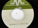 BEACHNUTS/HOLLYWOODS Lou Reed ACETATE Sad Lonely b/w Teardrops In the Sand HEAR
