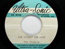 VANDALS Garage Psychedelic ACETATE 45rpm She Caught the Wind HEAR