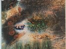 Pink floyd a saucerful of secrets vinyl