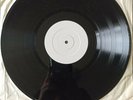 Queen Adreena - Taxidermy LP Vinyl - TEST PRESSING   RARE