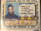 LP Vinyl Ol‘ Dirty Bastard Return To The 36 Chambers