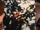 Pink Floyd Obscured By Clouds Vinyl LP US Harvest ST-11078 VG+