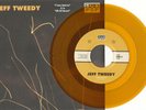 JEFF TWEEDY C'mon America 7